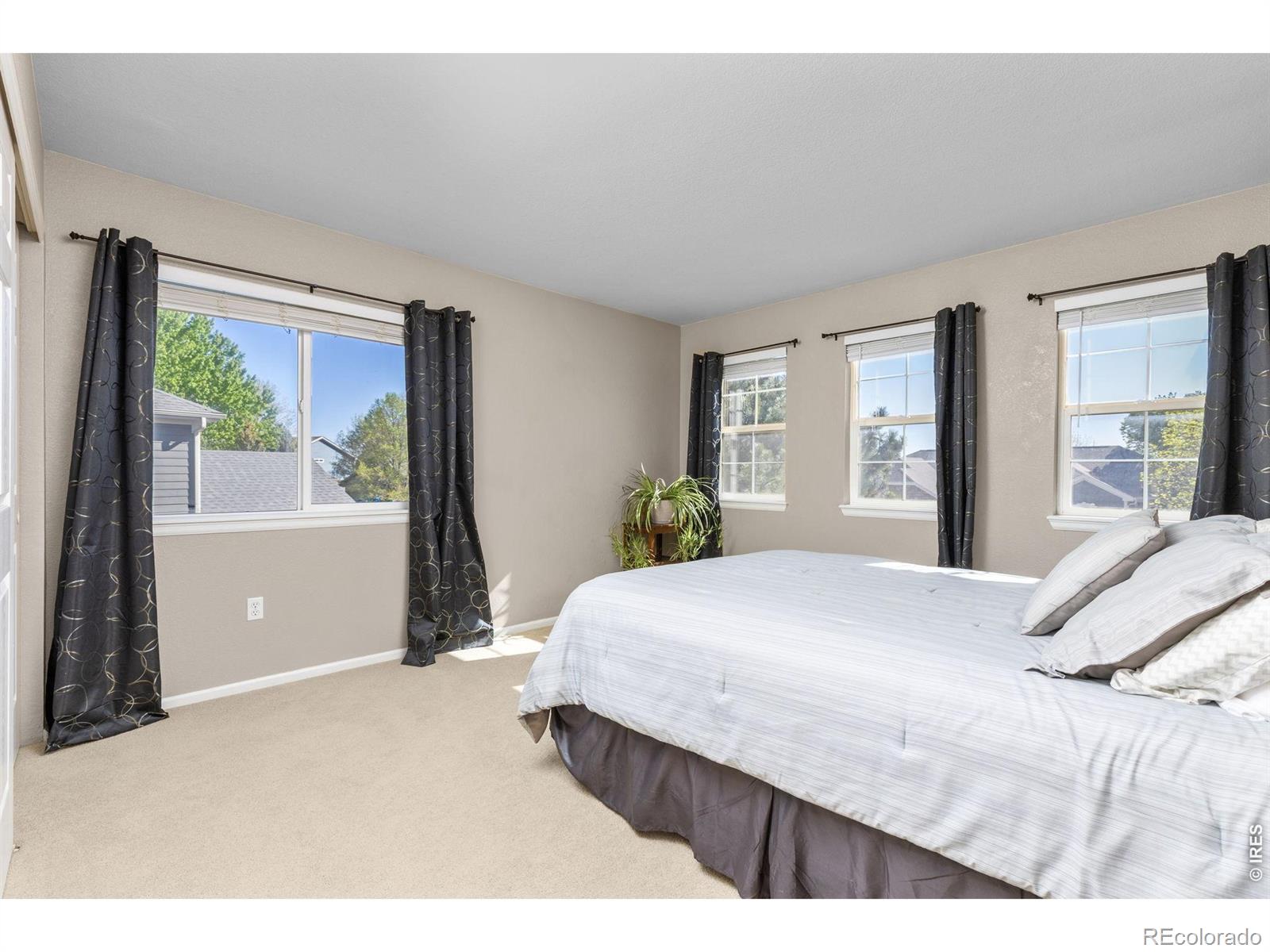 MLS Image #29 for 11721  beasly road,longmont, Colorado