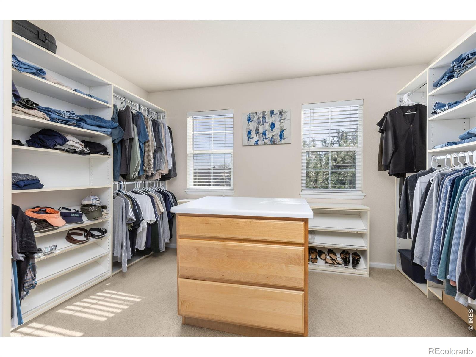 MLS Image #30 for 11721  beasly road,longmont, Colorado