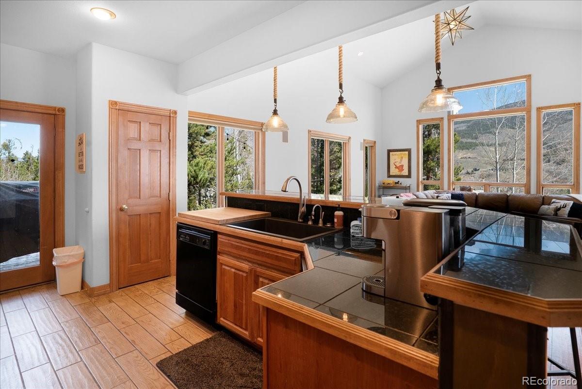 MLS Image #13 for 1871  peregrine lane,silverthorne, Colorado
