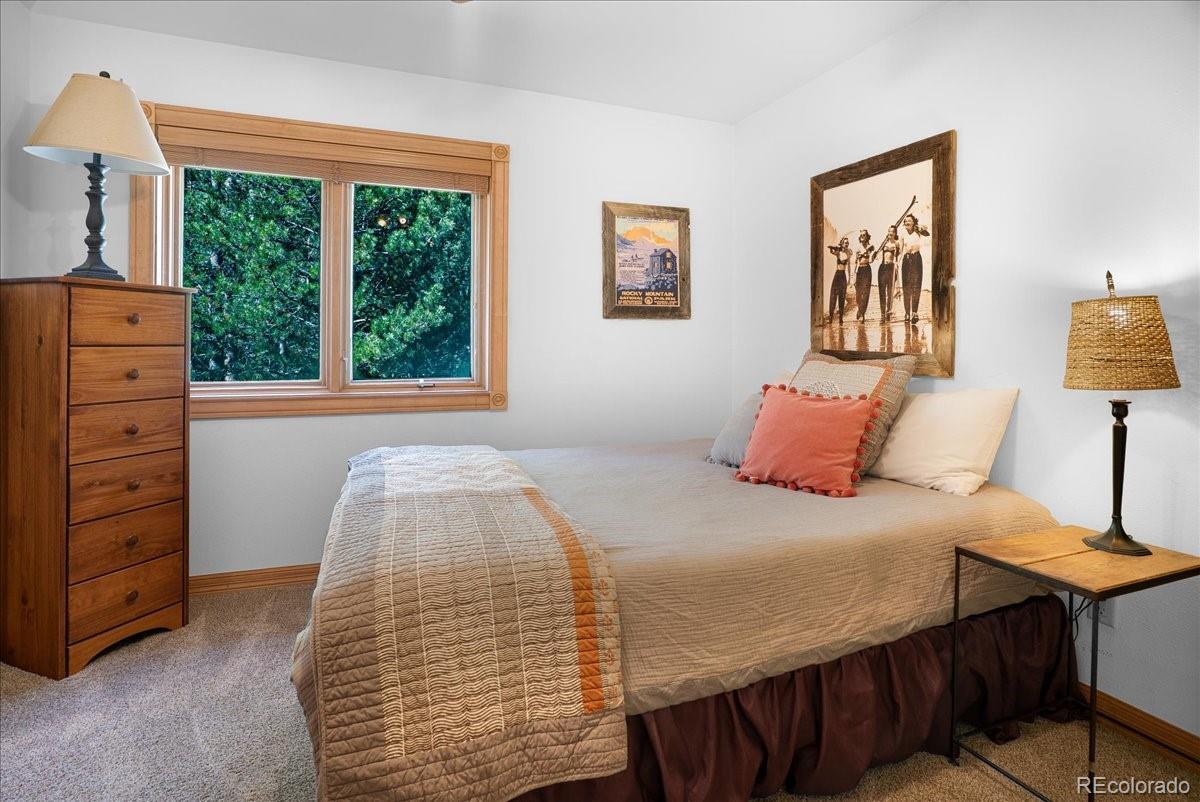 MLS Image #25 for 1871  peregrine lane,silverthorne, Colorado