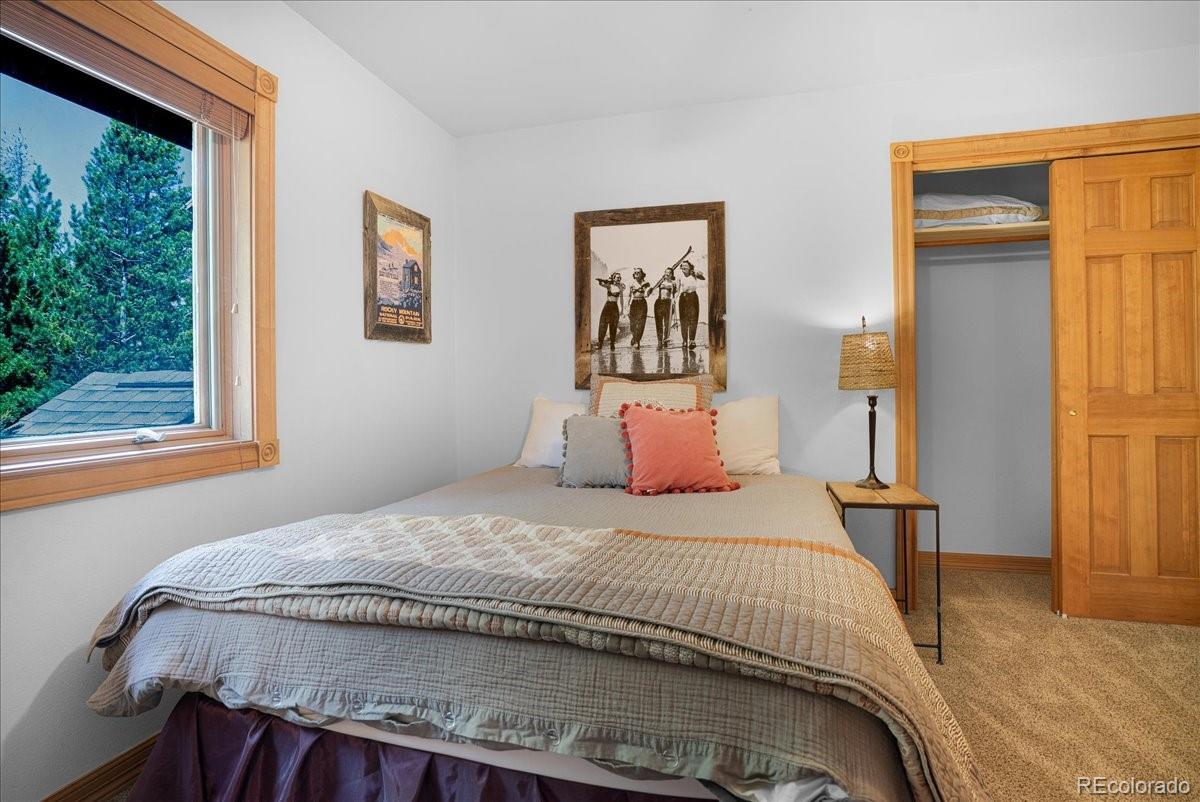 MLS Image #26 for 1871  peregrine lane,silverthorne, Colorado