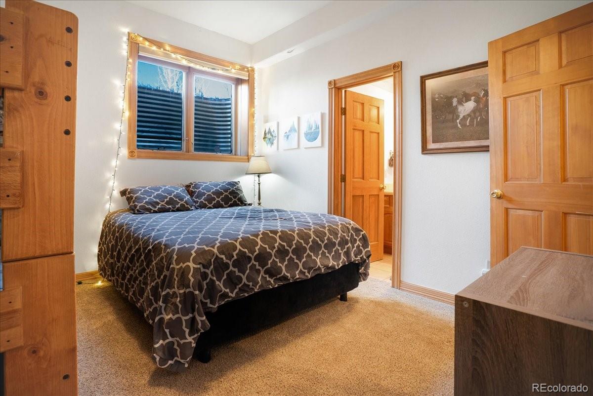 MLS Image #29 for 1871  peregrine lane,silverthorne, Colorado