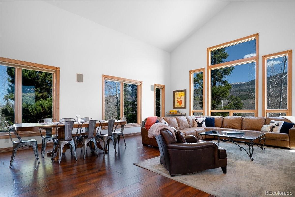 MLS Image #6 for 1871  peregrine lane,silverthorne, Colorado
