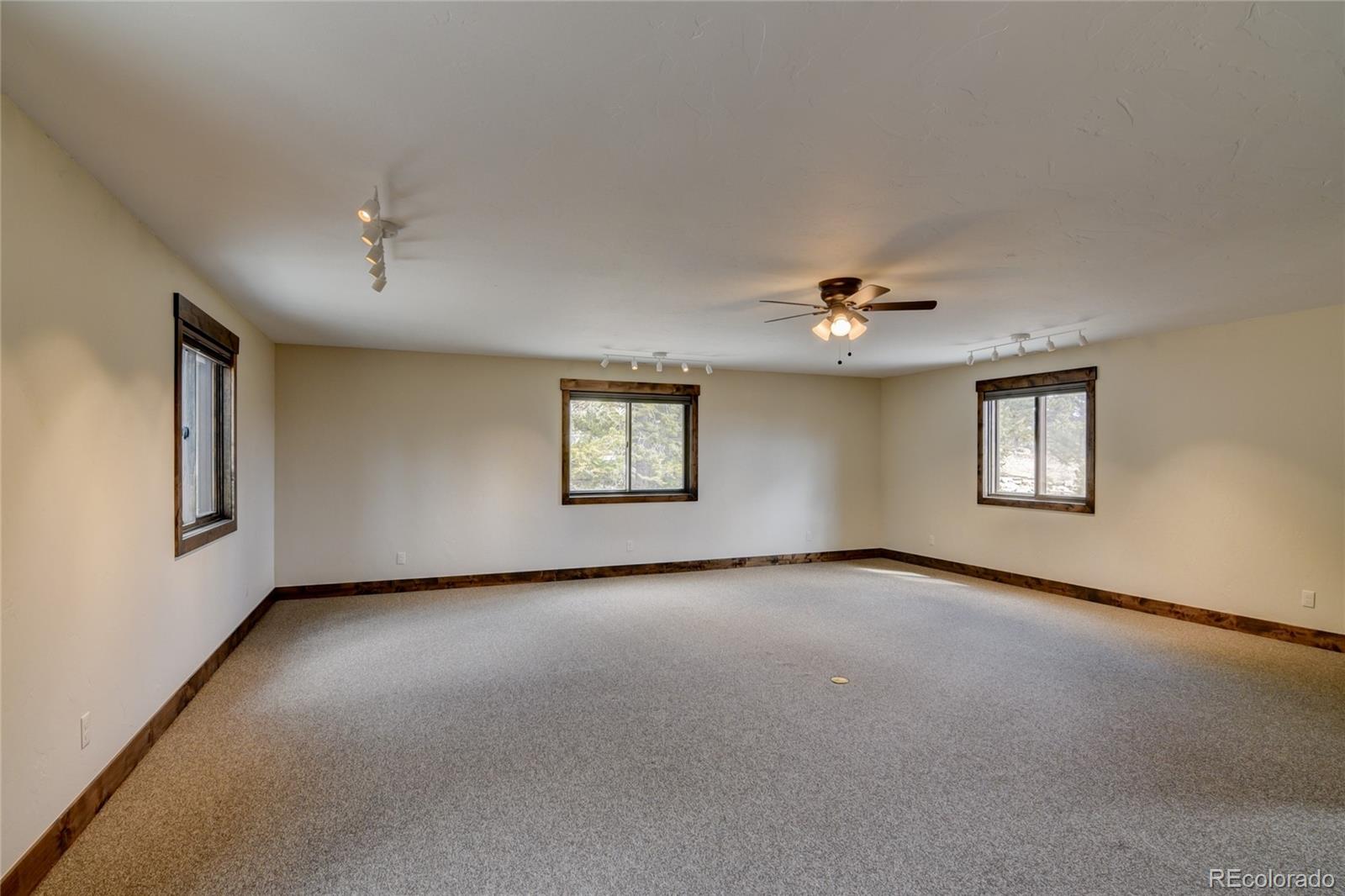 MLS Image #41 for 30009  creek run,buena vista, Colorado