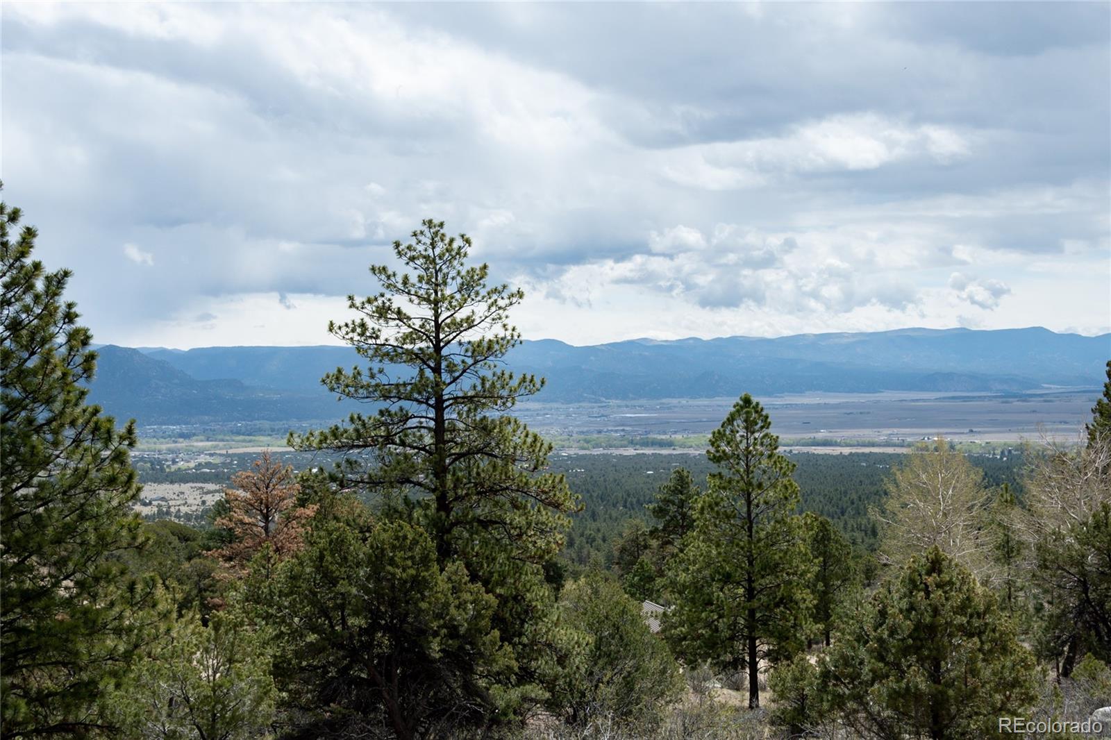 MLS Image #7 for 30009  creek run,buena vista, Colorado