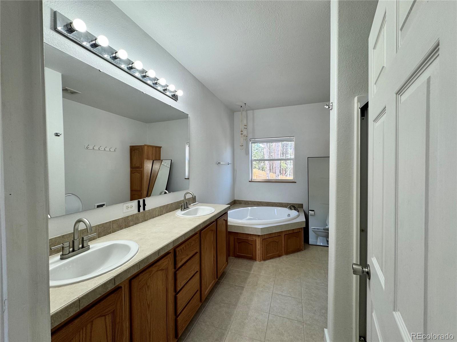 MLS Image #10 for 82  adelaide court,leadville, Colorado