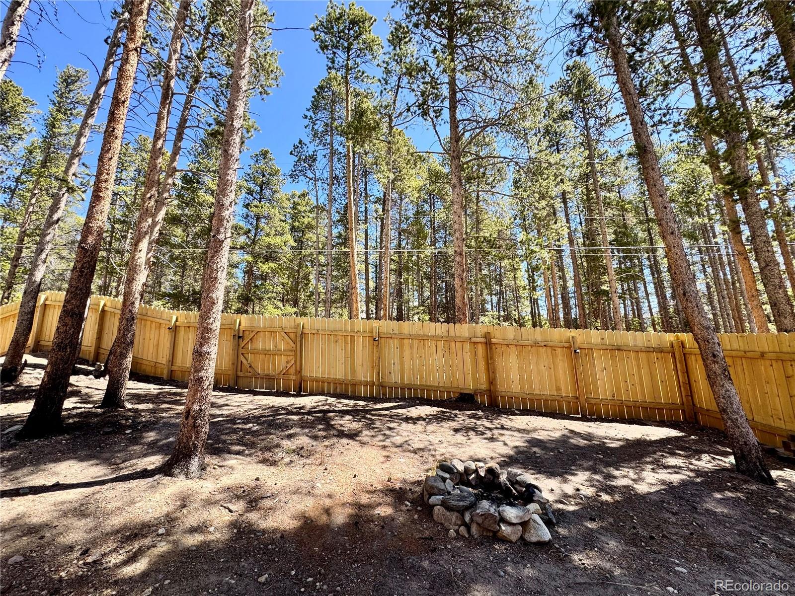 MLS Image #24 for 82  adelaide court,leadville, Colorado