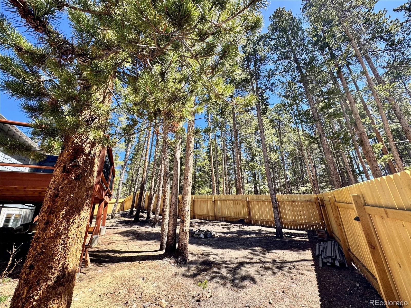 MLS Image #25 for 82  adelaide court,leadville, Colorado