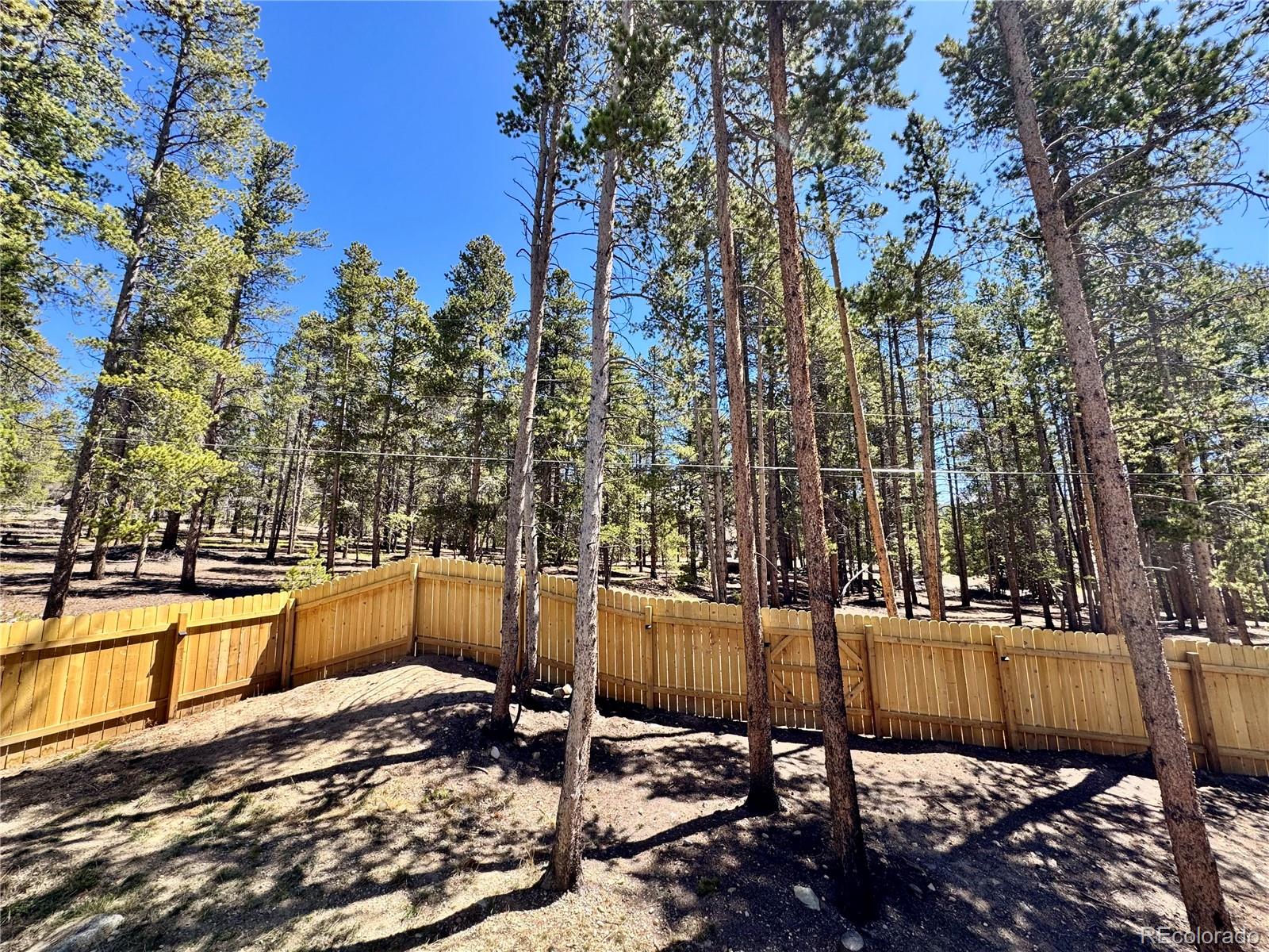 MLS Image #27 for 82  adelaide court,leadville, Colorado