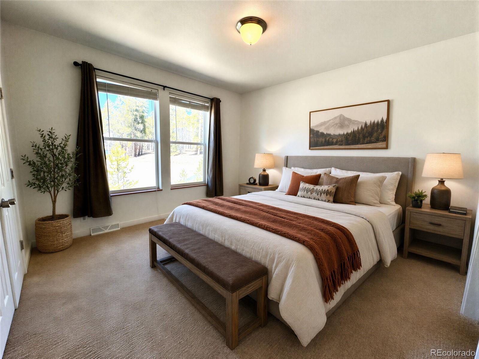 MLS Image #8 for 82  adelaide court,leadville, Colorado