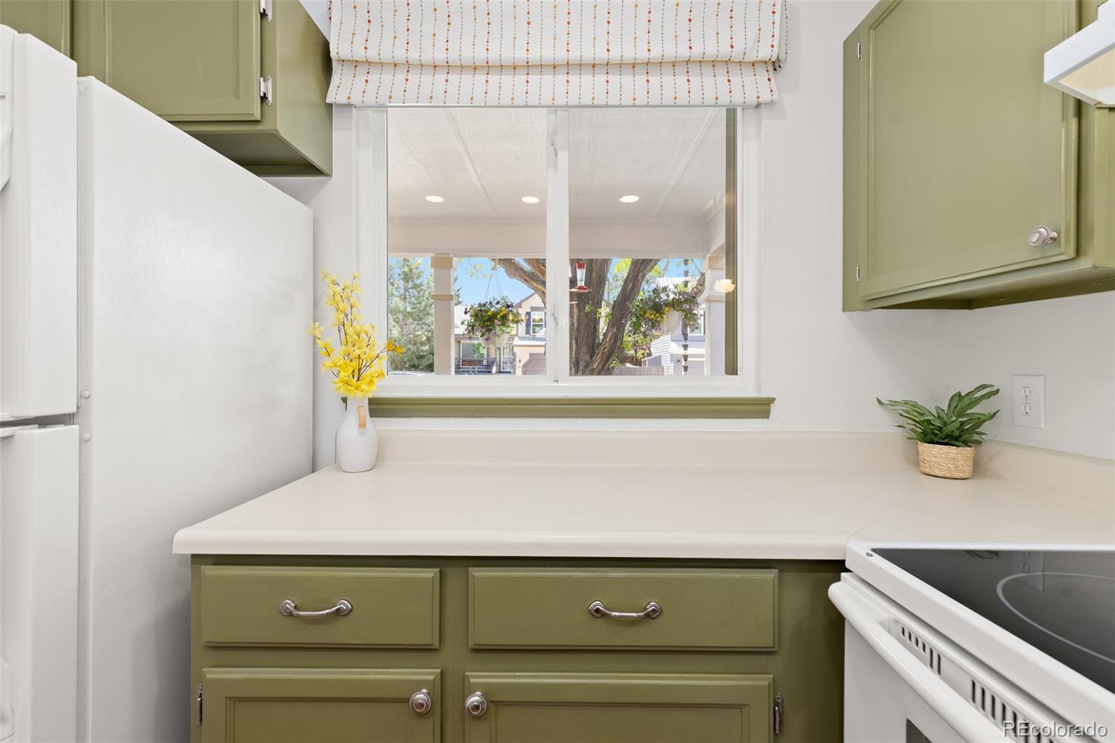 MLS Image #11 for 9805  fairwood street,littleton, Colorado