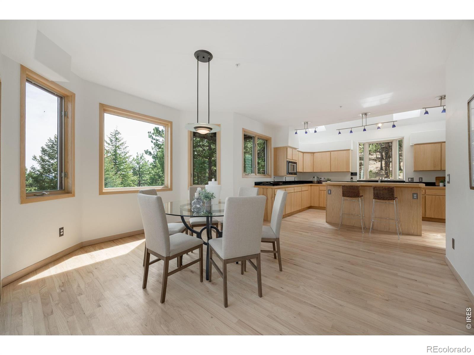 MLS Image #10 for 191  alaska road,boulder, Colorado