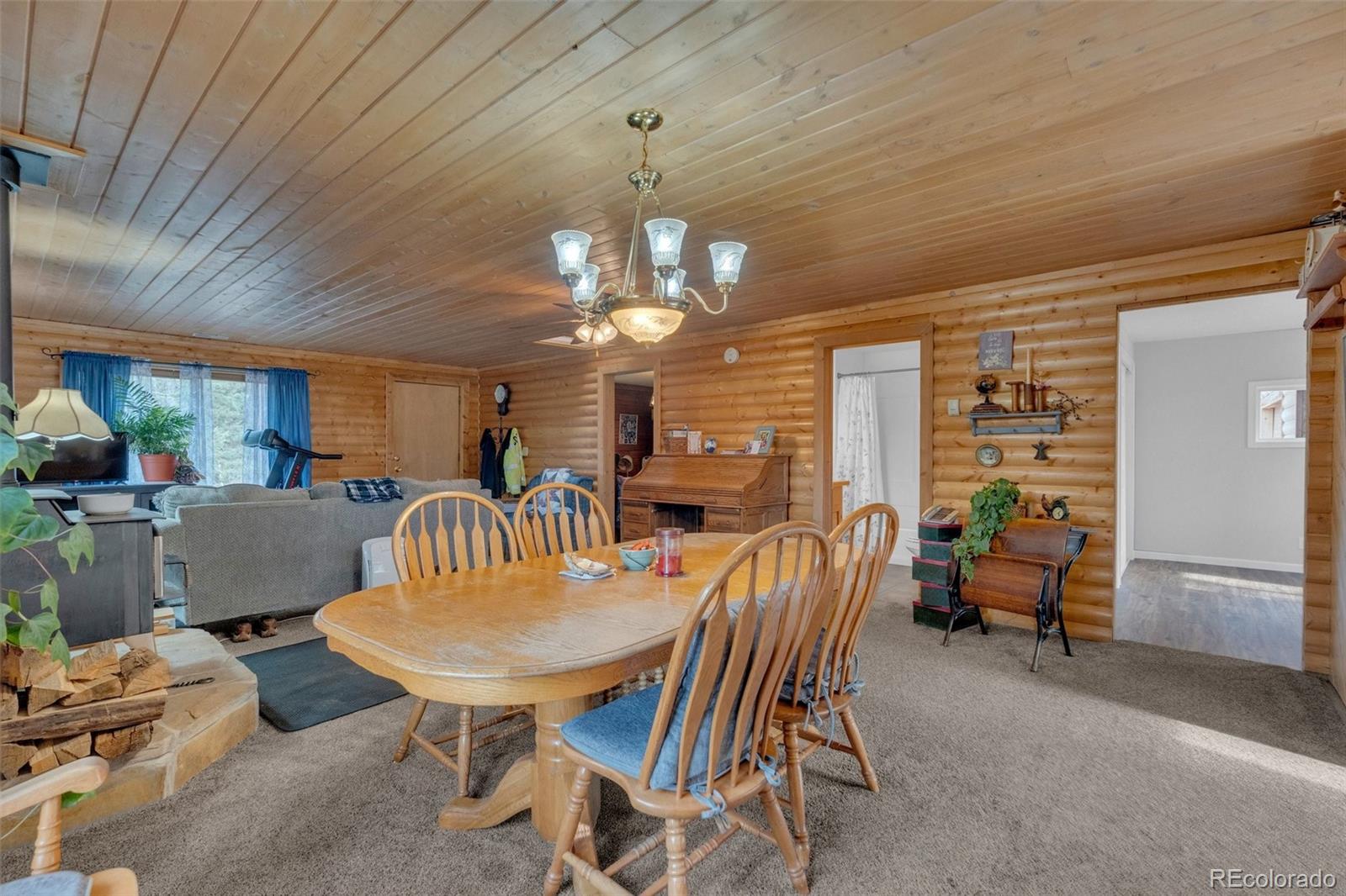 MLS Image #10 for 847  timber ridge road,divide, Colorado