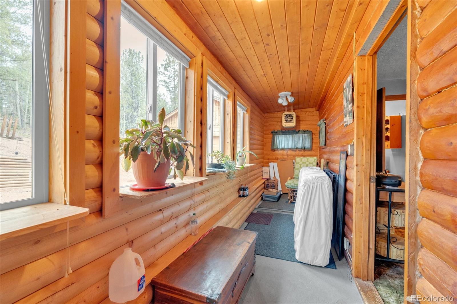 MLS Image #23 for 847  timber ridge road,divide, Colorado