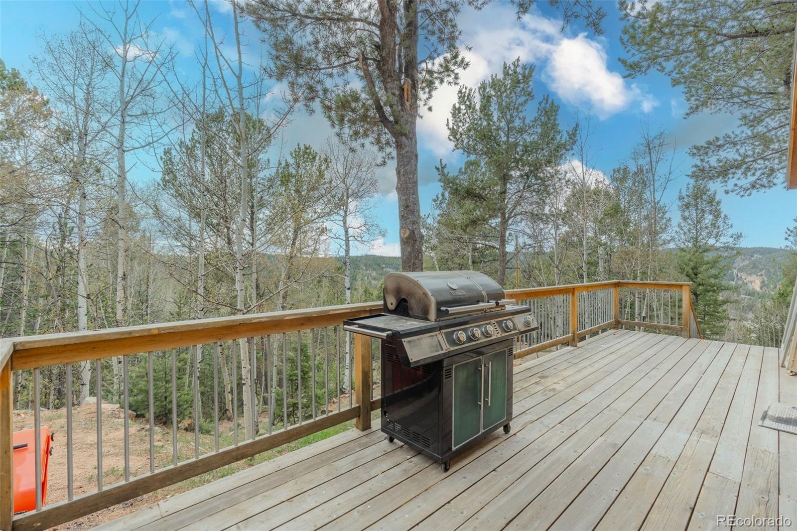 MLS Image #25 for 847  timber ridge road,divide, Colorado