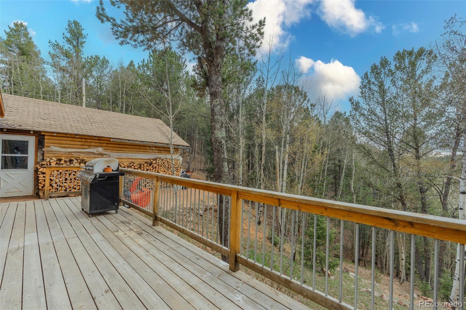 MLS Image #26 for 847  timber ridge road,divide, Colorado