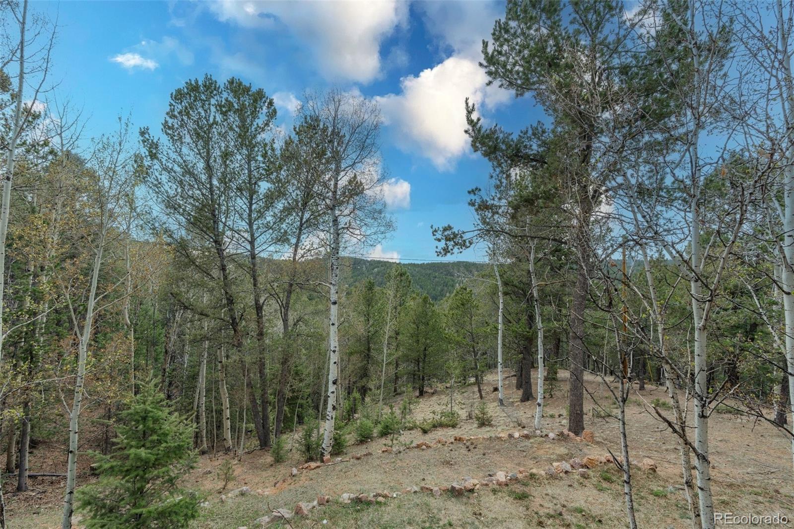 MLS Image #39 for 847  timber ridge road,divide, Colorado