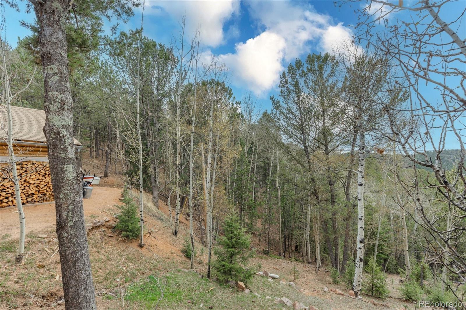 MLS Image #40 for 847  timber ridge road,divide, Colorado