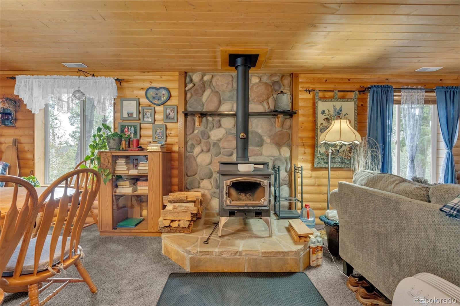 MLS Image #5 for 847  timber ridge road,divide, Colorado