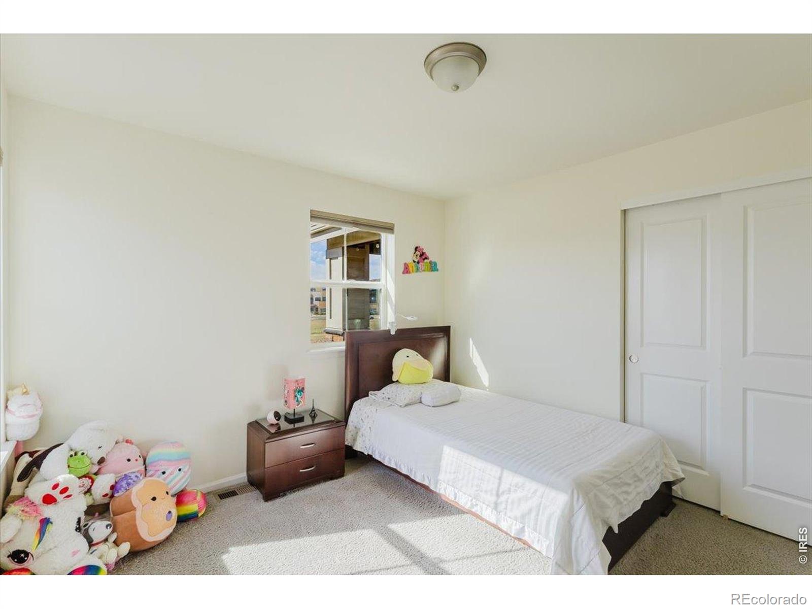 MLS Image #26 for 1920  los cabos drive,windsor, Colorado
