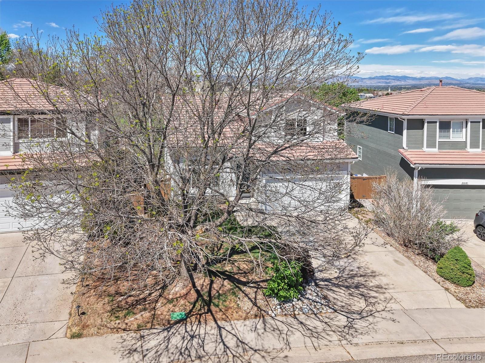 MLS Image #37 for 10089  cedaridge way,highlands ranch, Colorado