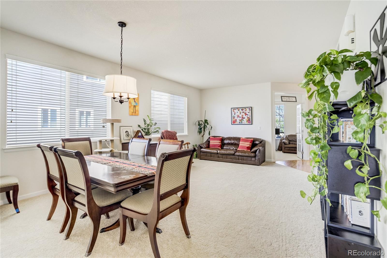 MLS Image #13 for 11341 s lost creek circle,parker, Colorado