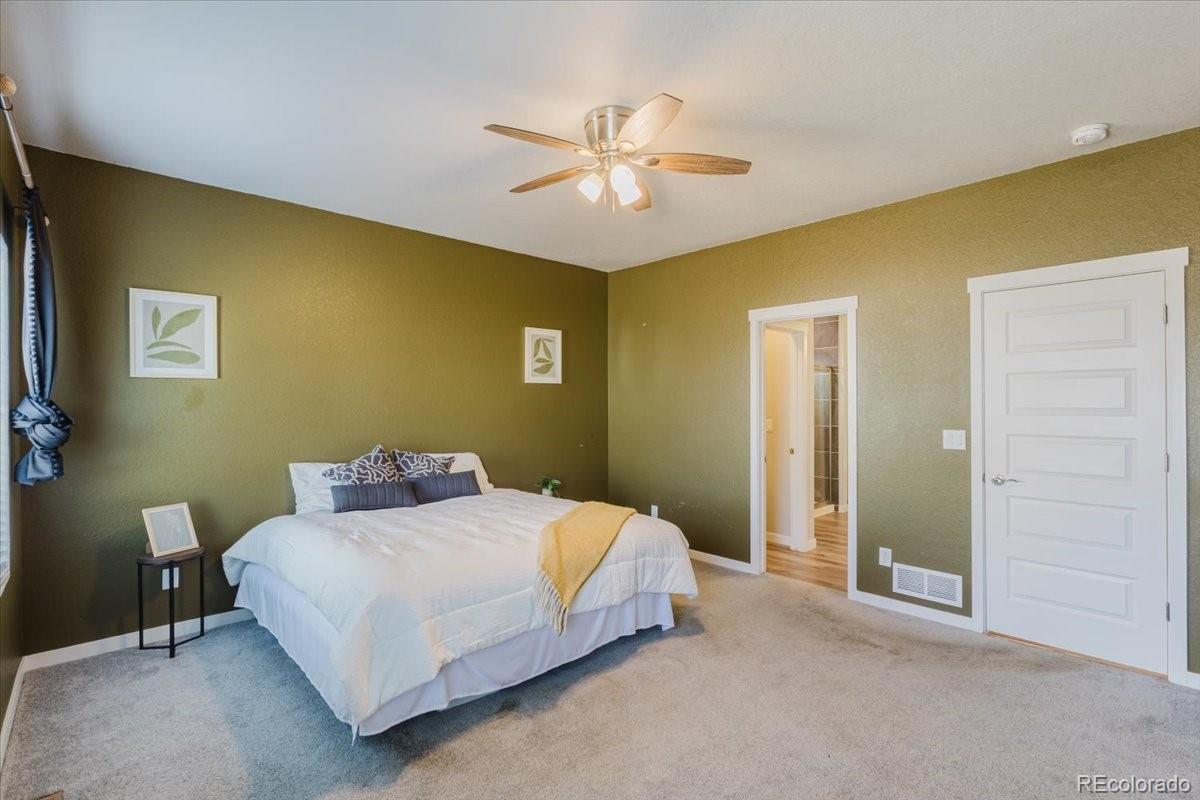 MLS Image #10 for 163  sabin way,lochbuie, Colorado