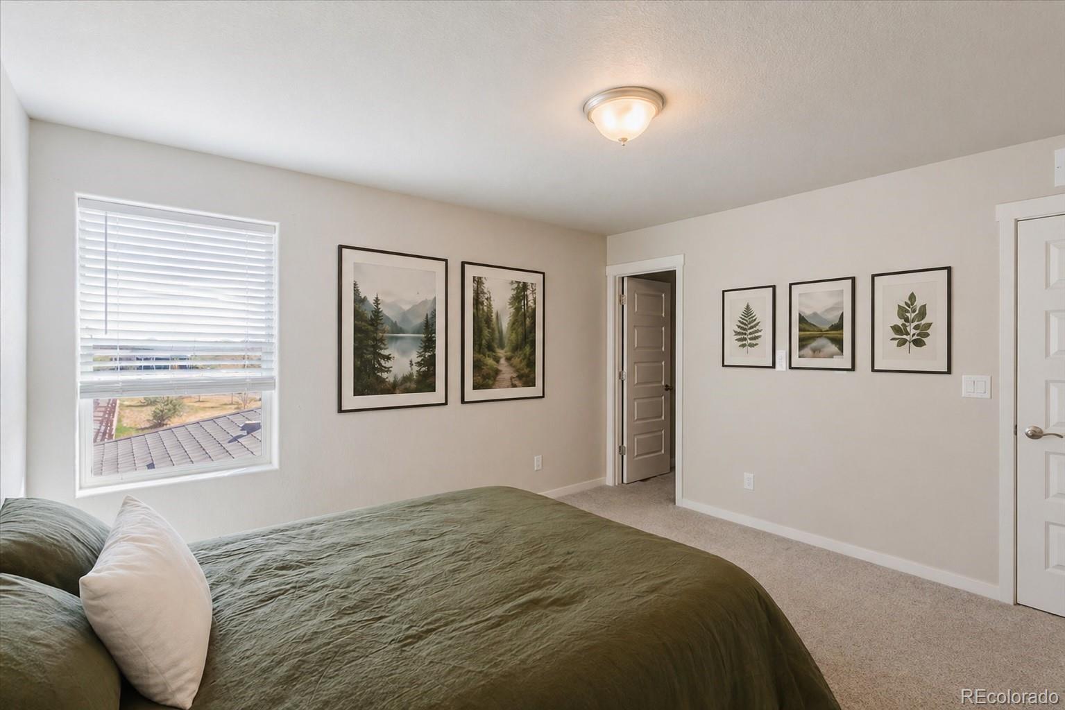 MLS Image #18 for 163  sabin way,lochbuie, Colorado
