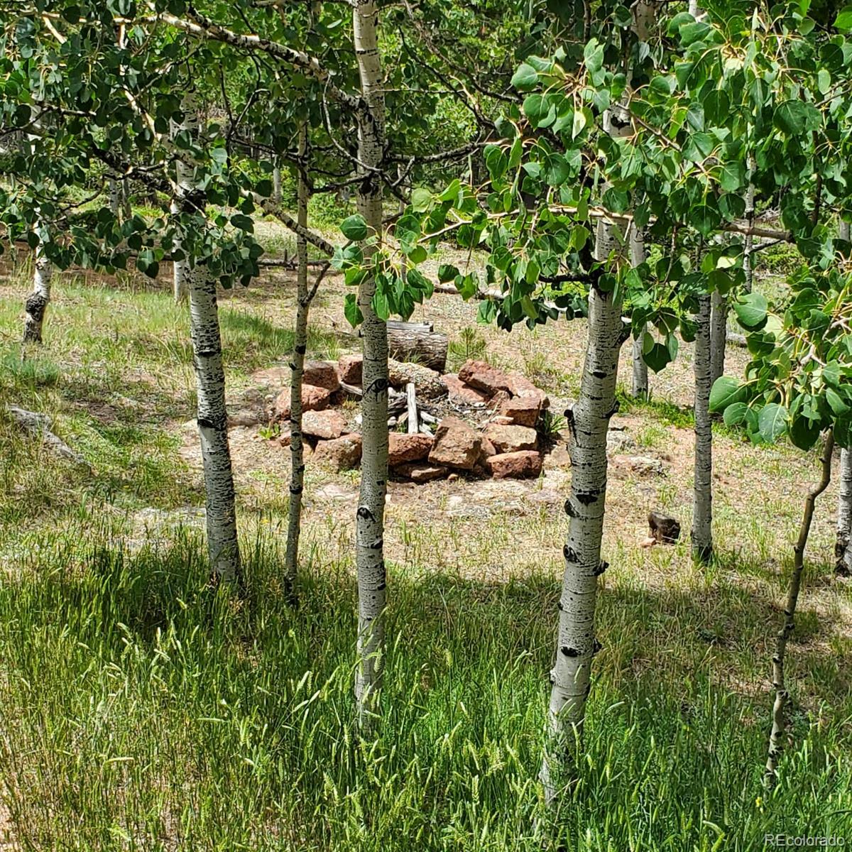 MLS Image #31 for 47  aspen road,woodland park, Colorado