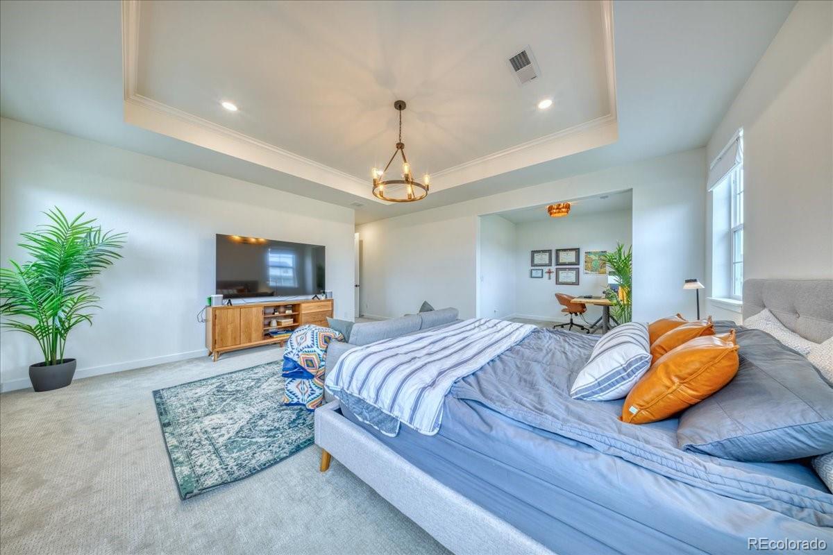 MLS Image #14 for 2867  fellswoop drive,castle rock, Colorado
