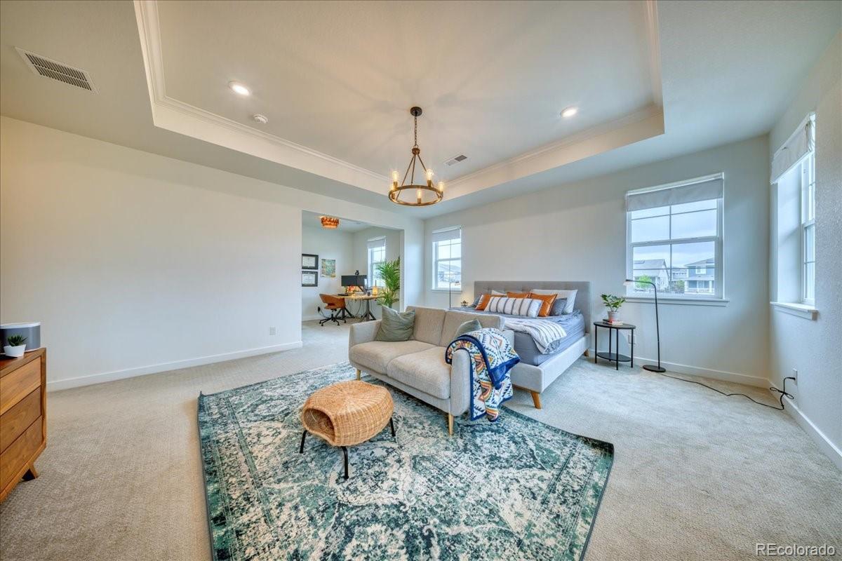 MLS Image #15 for 2867  fellswoop drive,castle rock, Colorado