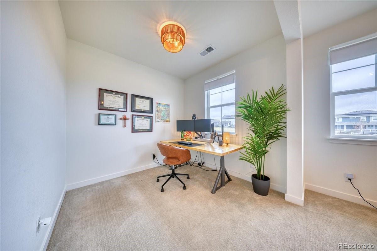 MLS Image #16 for 2867  fellswoop drive,castle rock, Colorado