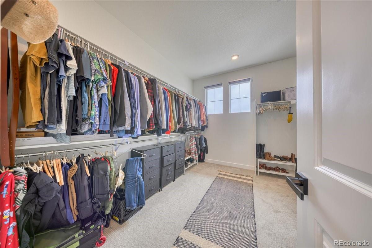 MLS Image #20 for 2867  fellswoop drive,castle rock, Colorado