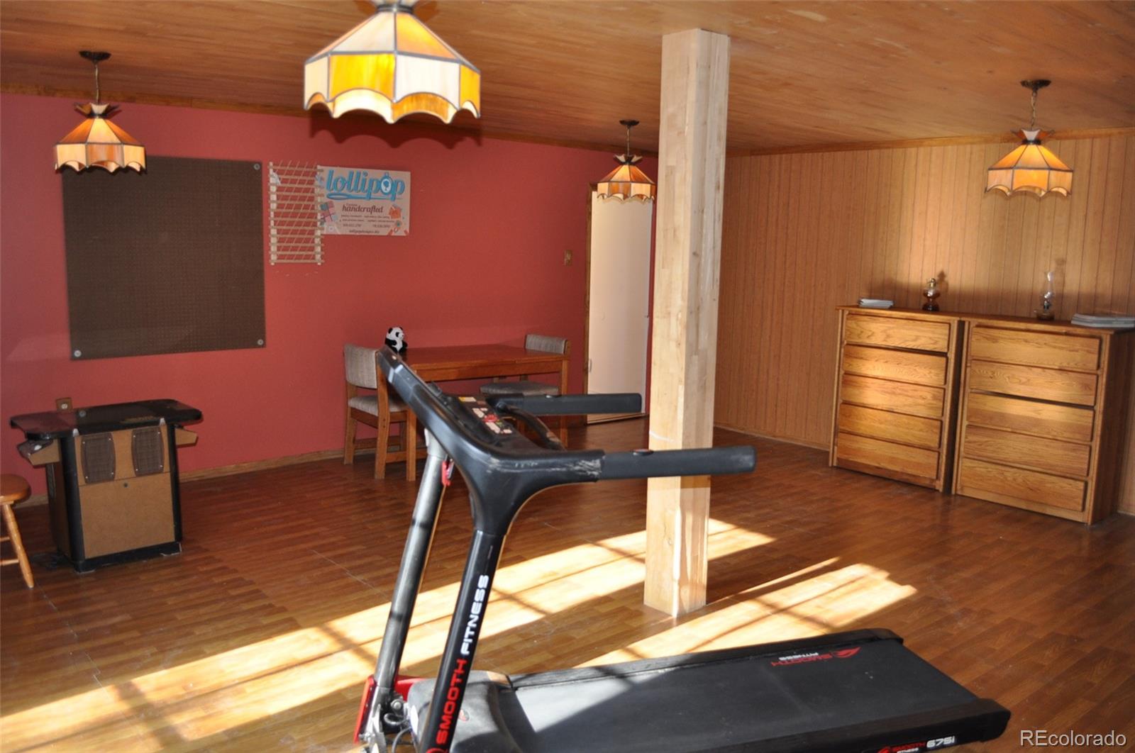 MLS Image #23 for 237  foxtail court,fairplay, Colorado