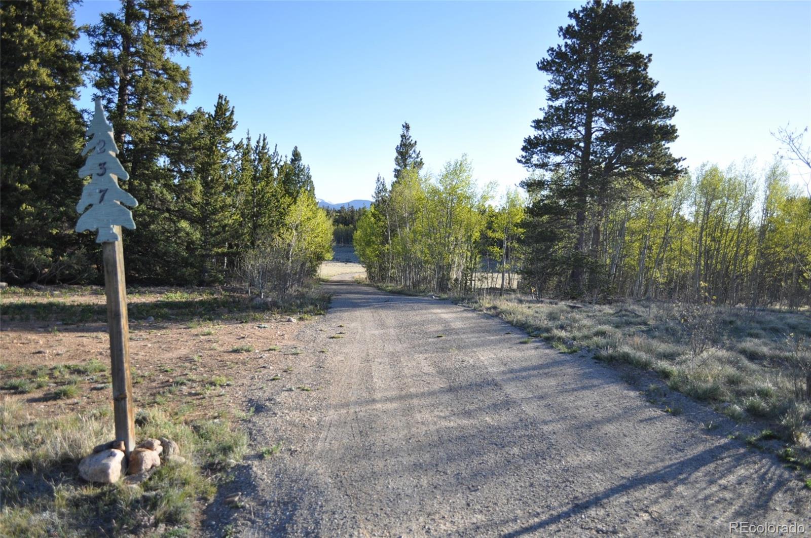 MLS Image #25 for 237  foxtail court,fairplay, Colorado