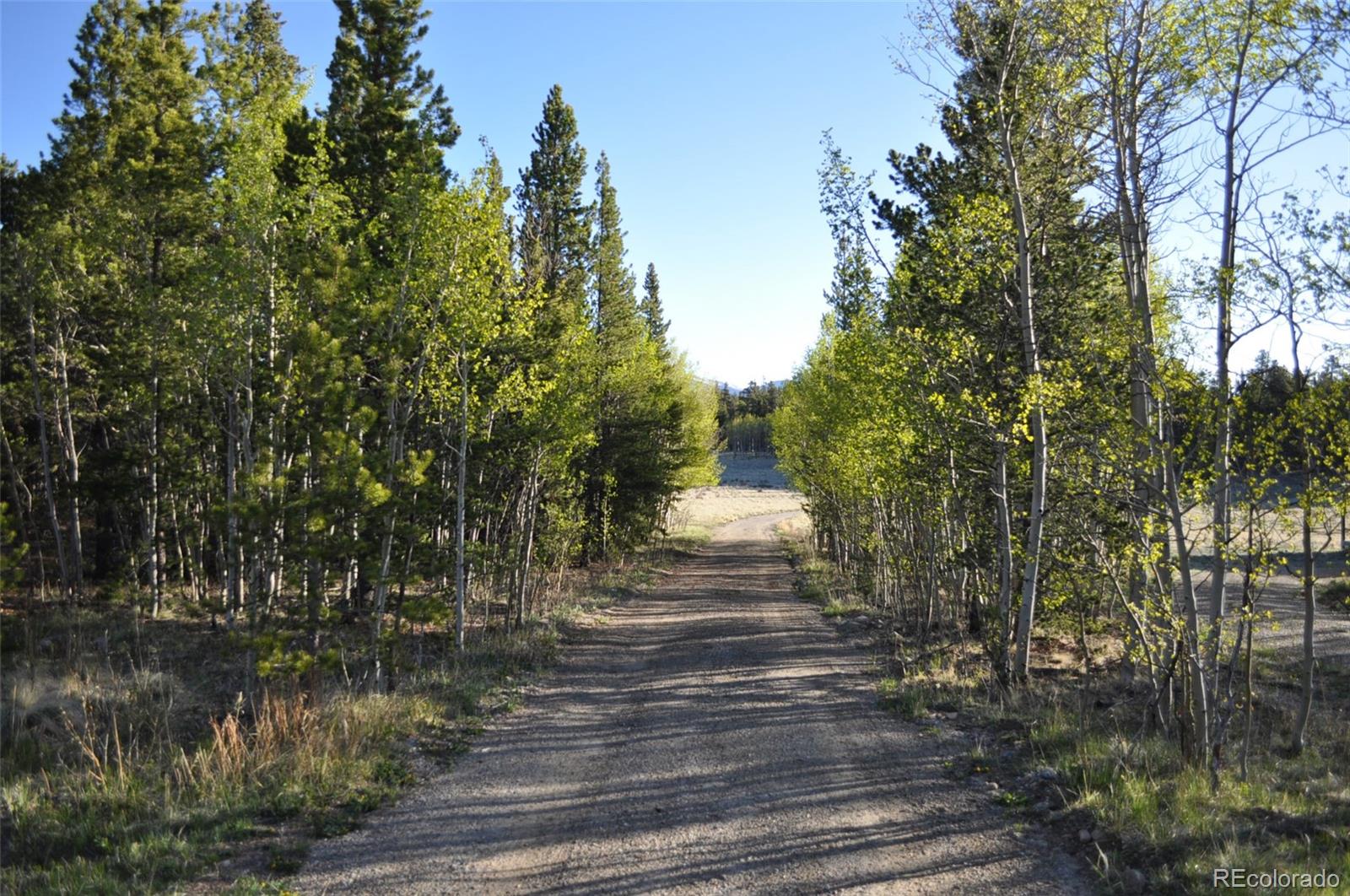 MLS Image #27 for 237  foxtail court,fairplay, Colorado