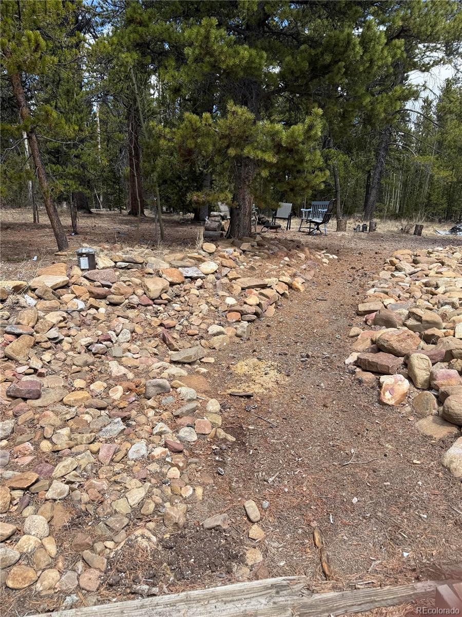 MLS Image #28 for 237  foxtail court,fairplay, Colorado