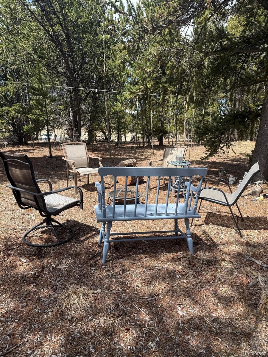 MLS Image #29 for 237  foxtail court,fairplay, Colorado