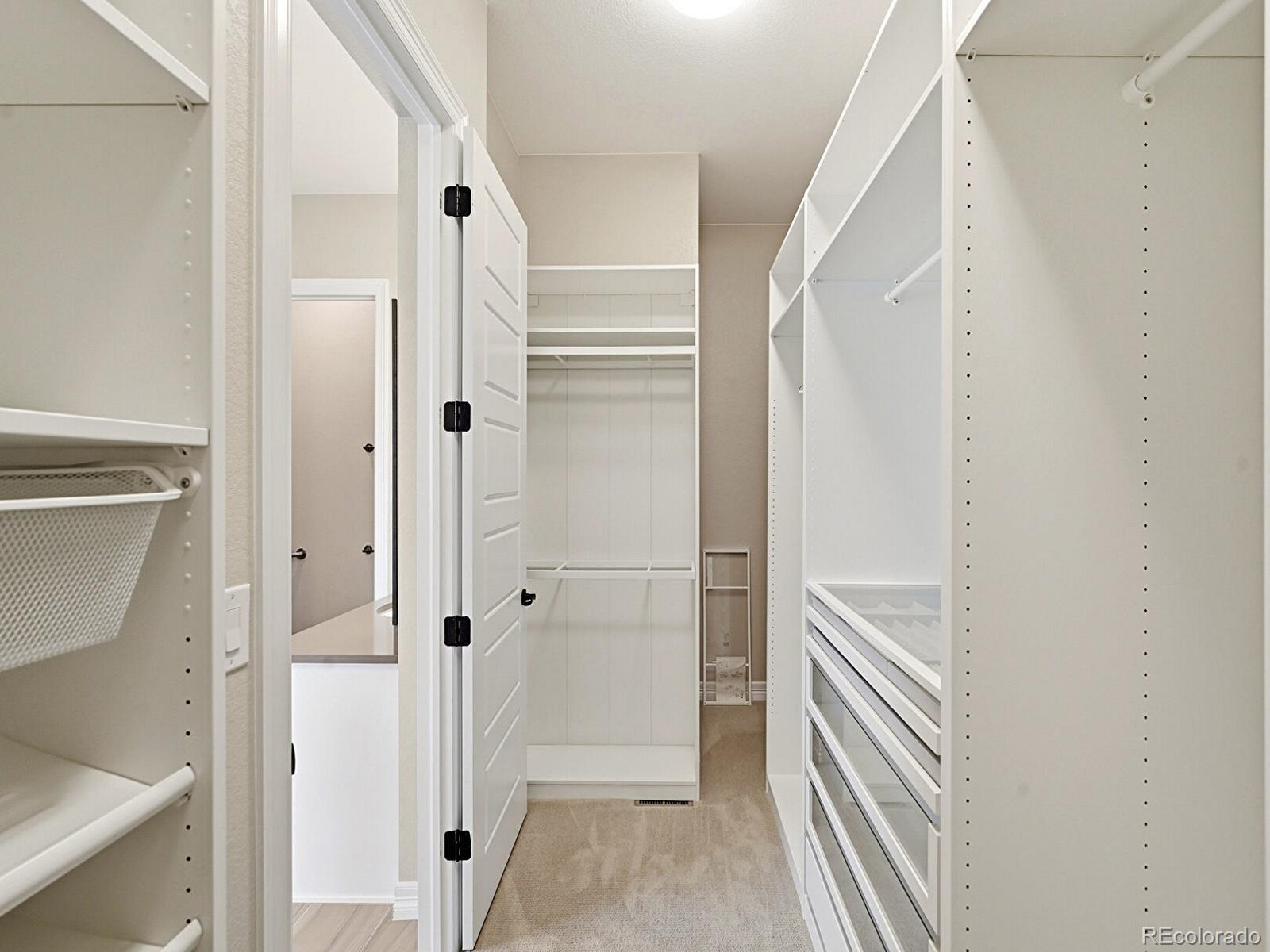 MLS Image #14 for 1825  burke drive,erie, Colorado