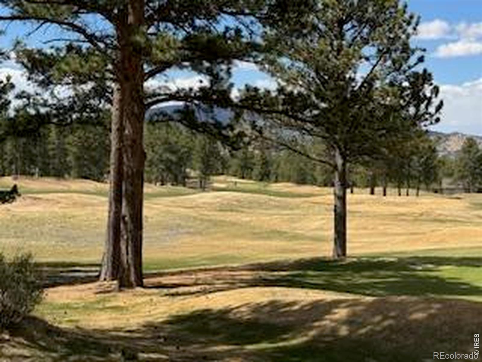 MLS Image #11 for 2215  fox acres drive,red feather lakes, Colorado