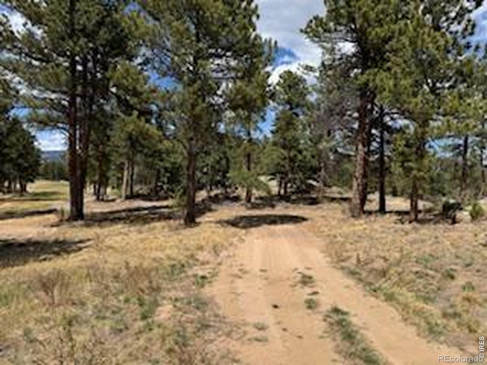 MLS Image #12 for 2215  fox acres drive,red feather lakes, Colorado