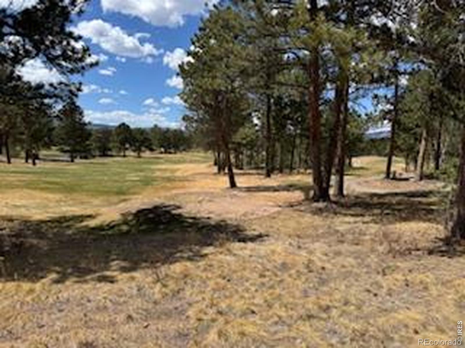 MLS Image #13 for 2215  fox acres drive,red feather lakes, Colorado