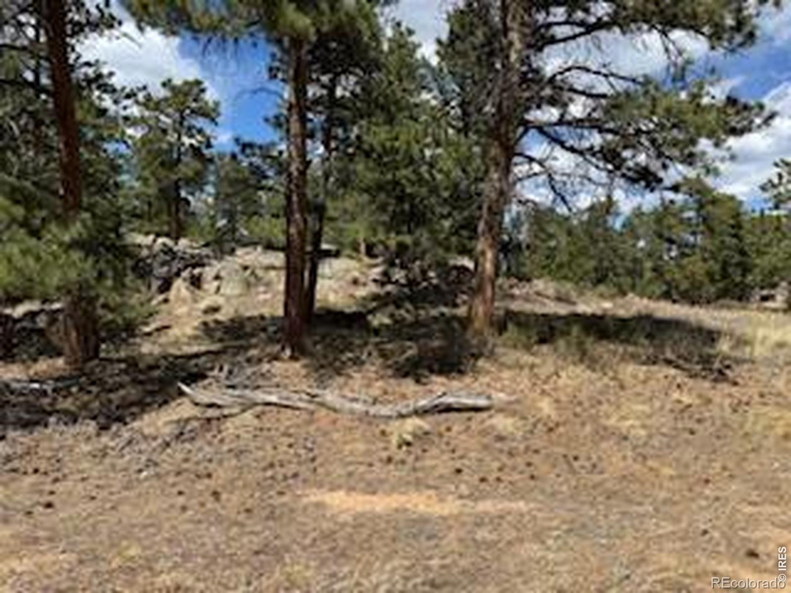 MLS Image #14 for 2215  fox acres drive,red feather lakes, Colorado