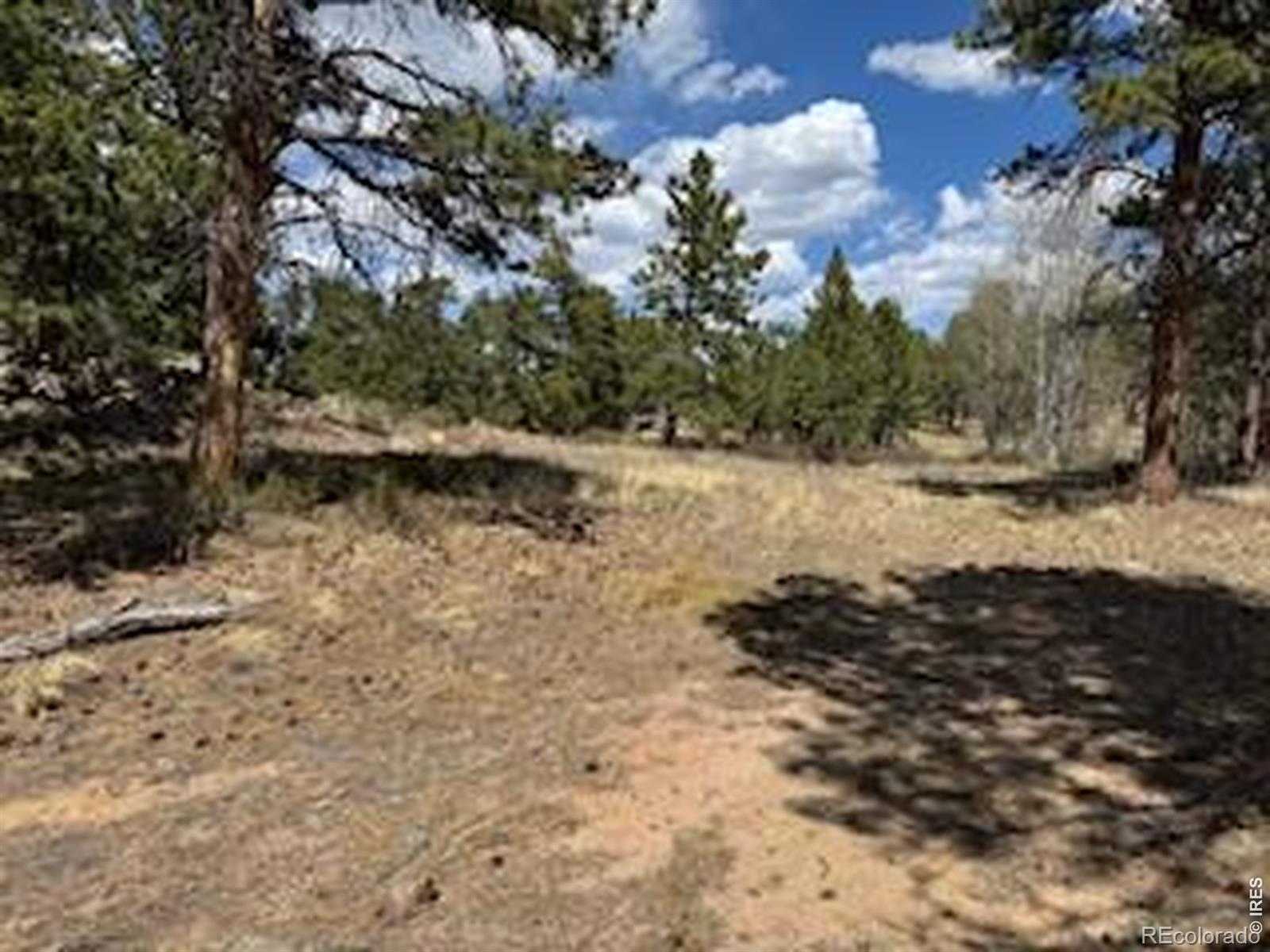 MLS Image #15 for 2215  fox acres drive,red feather lakes, Colorado