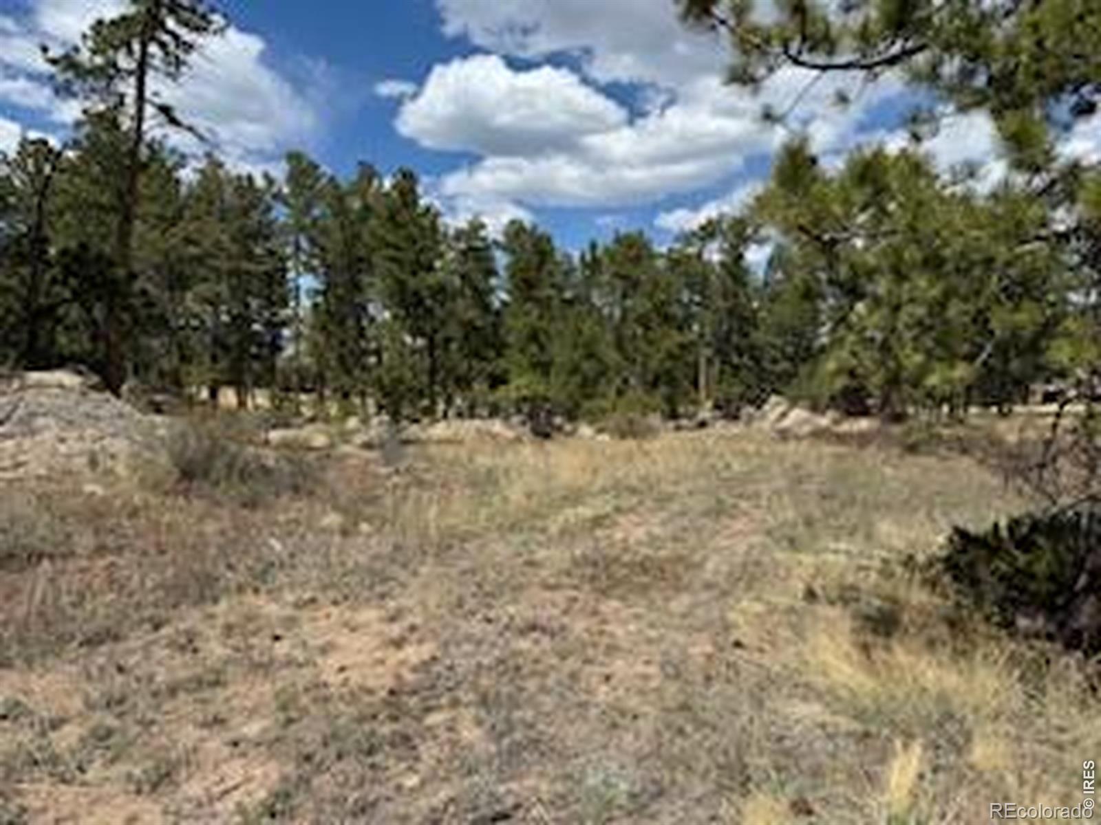 MLS Image #16 for 2215  fox acres drive,red feather lakes, Colorado