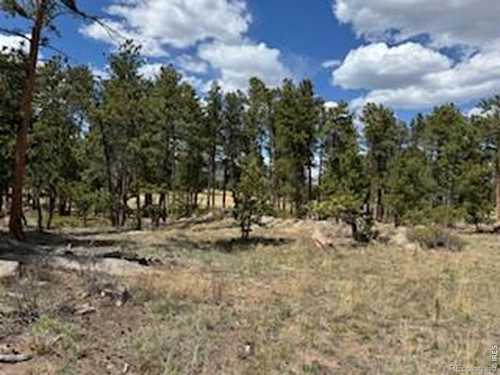 MLS Image #17 for 2215  fox acres drive,red feather lakes, Colorado