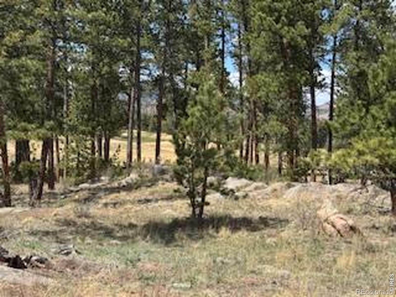 MLS Image #18 for 2215  fox acres drive,red feather lakes, Colorado