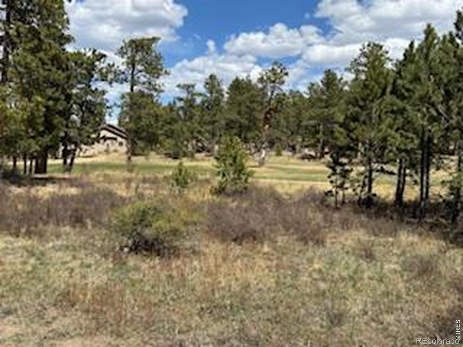 MLS Image #19 for 2215  fox acres drive,red feather lakes, Colorado