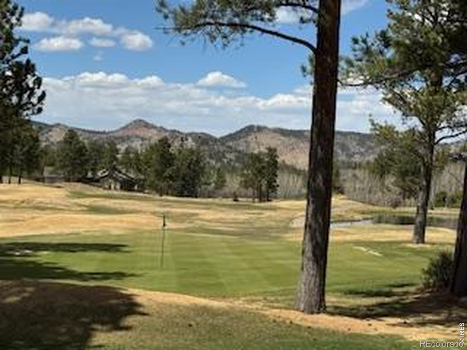 MLS Image #2 for 2215  fox acres drive,red feather lakes, Colorado