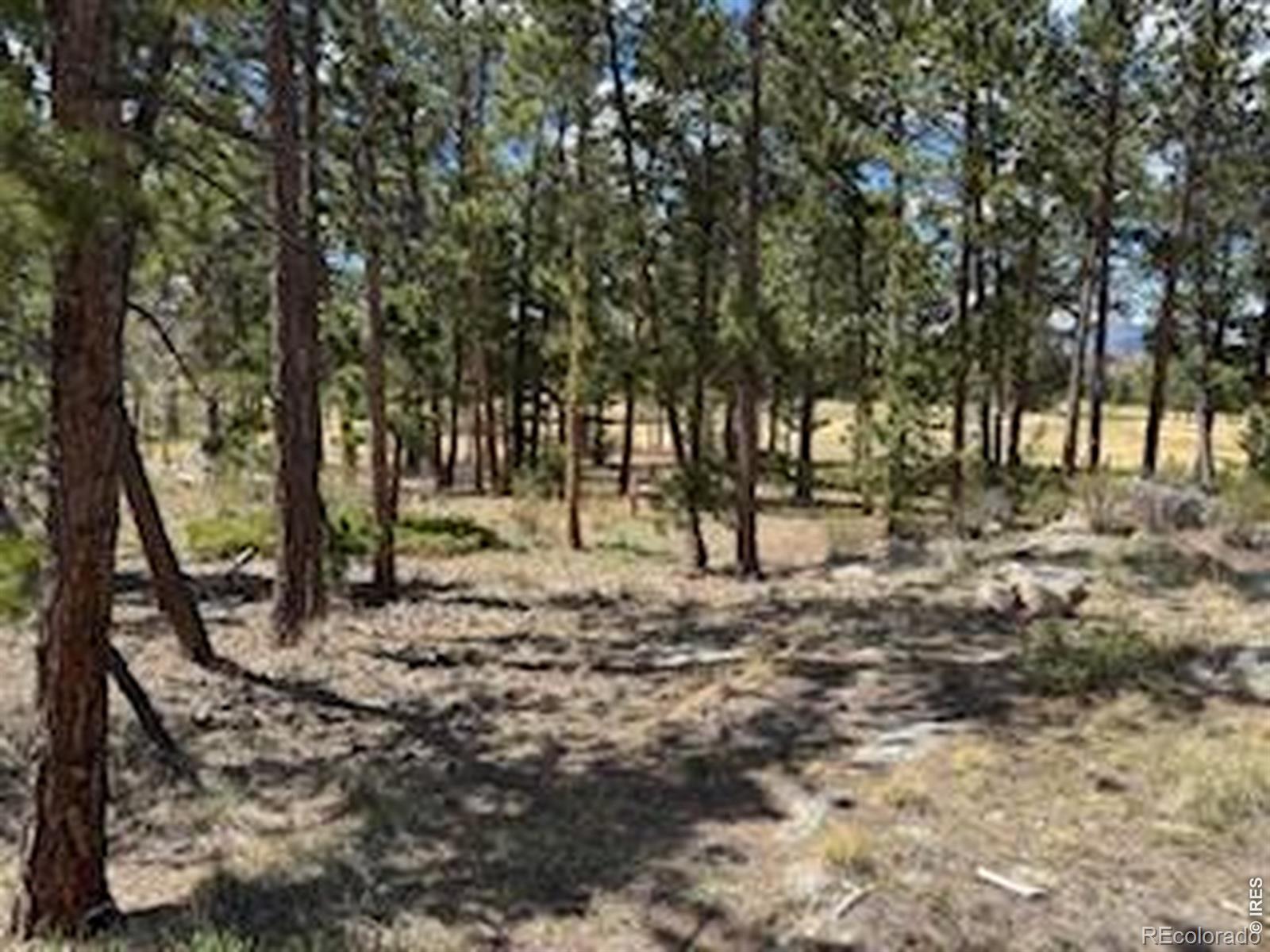 MLS Image #21 for 2215  fox acres drive,red feather lakes, Colorado